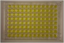 Ames Test Kit